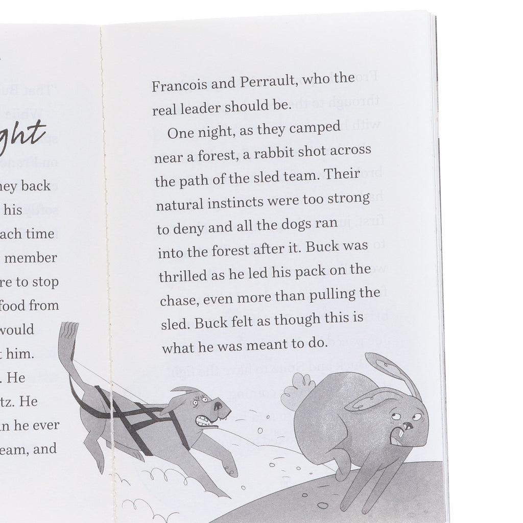 Children's Easy Classics 10 Book Set – Illustrated Classic Stories Col