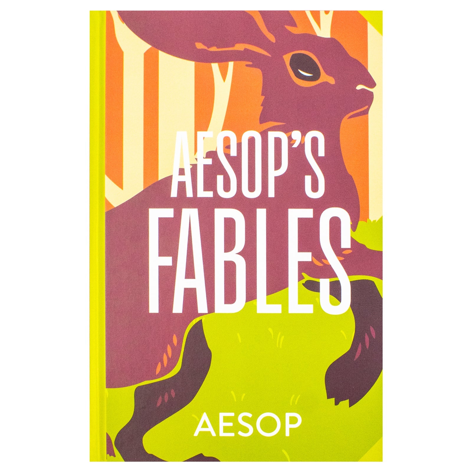 Aesop's Fables by Aesop (Deluxe Hardback Sprayed Edge Edition)