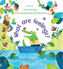 What are Feelings? (Usborne Lift-the-Flap First Questions and Answers)