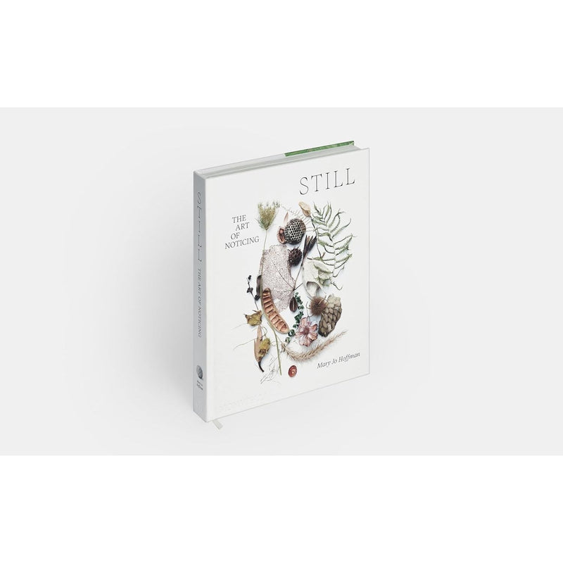 STILL: The Art of Noticing by Mary Jo Hoffman