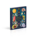 Nature's Treasures: Tales Of More Than 100 Extraordinary Objects From Nature (DK Treasures)