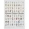 Flower Colour Guide by Taylor Putnam, Michael Putnam