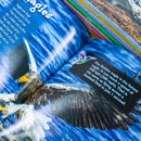 Children Introduction To Nature For Beginners 10 Hardback Book Collection Set: (Bear, Big Cats, Birds, Crocodiles And Alligators, Fish, Penguins, Primates, Sharks, Snakes, Whales And Dolphins)