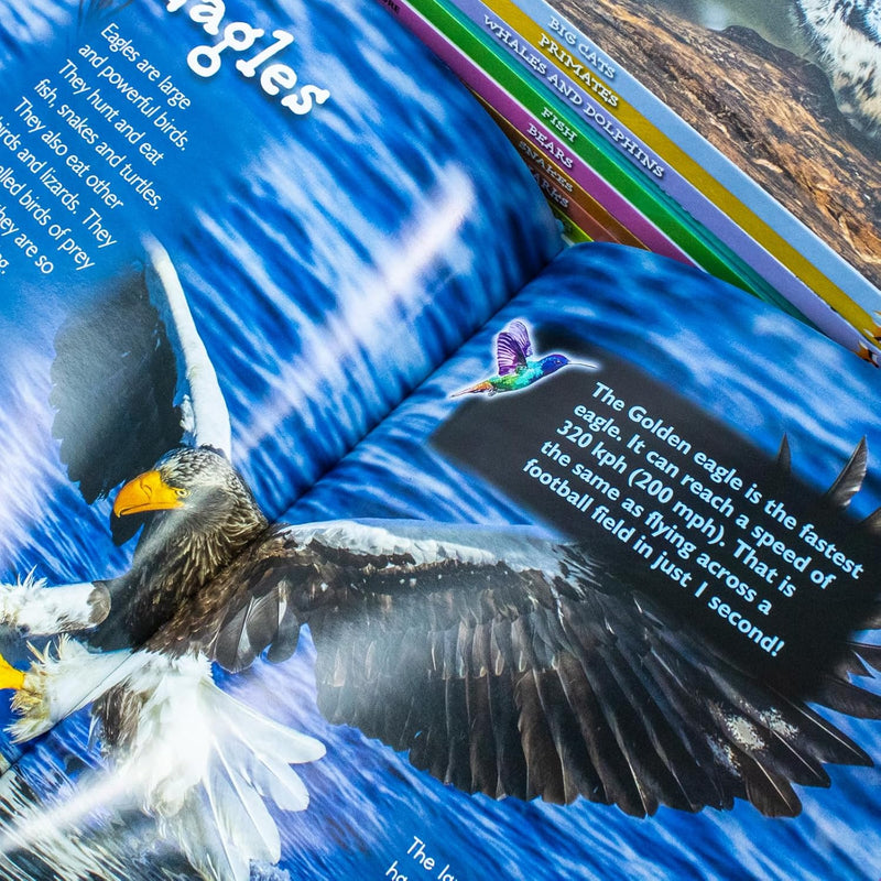 Children Introduction To Nature For Beginners 10 Hardback Book Collection Set: (Bear, Big Cats, Birds, Crocodiles And Alligators, Fish, Penguins, Primates, Sharks, Snakes, Whales And Dolphins)