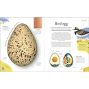 Nature's Treasures: Tales Of More Than 100 Extraordinary Objects From Nature (DK Treasures)