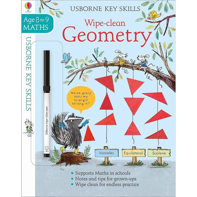 Wipe-Clean Geometry 8-9 (Usborne Wipe-Clean Key Skills)