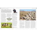 The Dog Encyclopedia: The Definitive Visual Guide (DK Pet Encyclopedias)