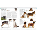 The Dog Encyclopedia: The Definitive Visual Guide (DK Pet Encyclopedias)