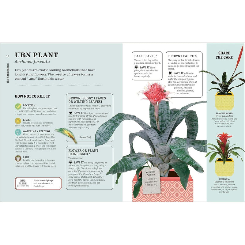How Not to Kill Your Houseplant: Survival Tips for the Horticulturally Challenged
