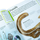 DK Children’s Encyclopedia: The Book That Explains Everything | Illustrated Reference Book on Science, History, Nature & More for Kids