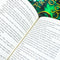 Hundred Kingdoms Novels Collection 2 Books Set (To Kill a Kingdom &amp; Princess of Souls)