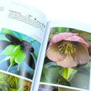 Dream Plants for the Natural Garden: Over 1,200 Beautiful and Reliable Plants for a Natural Garden