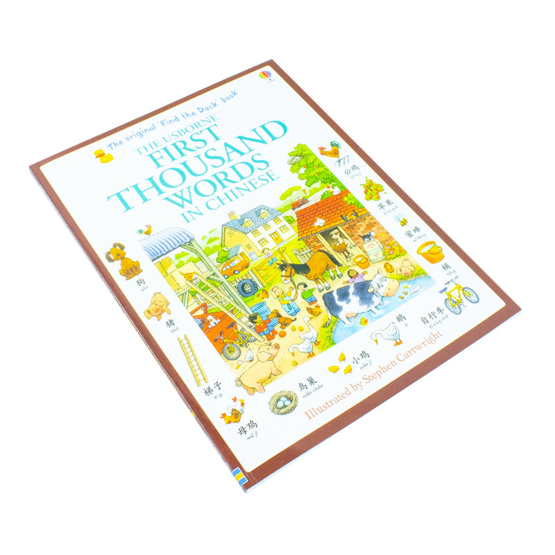 Usborne My First Thousand Words In Chinese Book New Paperback