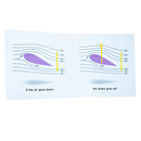 Baby University Four-Book Set (Quantum Physics, Rocket Science, General Relativity, Newtonian Physics)