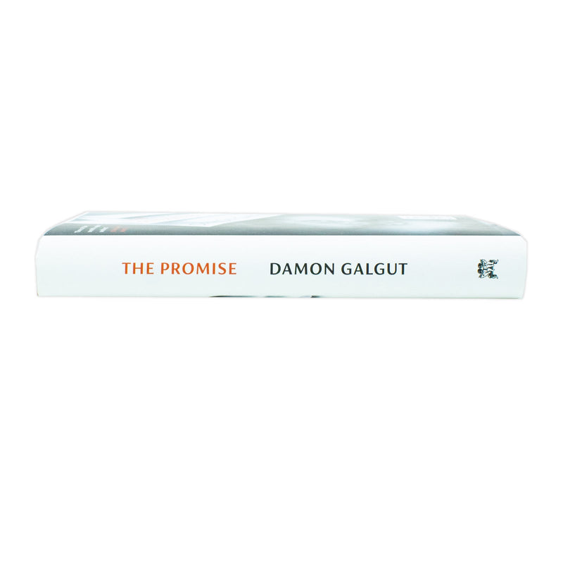 The Promise: WINNER OF THE BOOKER PRIZE 2021 by Damon Galgut