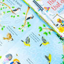 Usborne Wipe Clean Activities 6 Books Collection Set by Kirsteen Robson – Dinosaur, Mermaid & Fun Educational Activity Collection for Kids