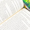 Robin Hood 4 Book Collection Set by Robert Muchamore – Action Adventure Series for Young Readers