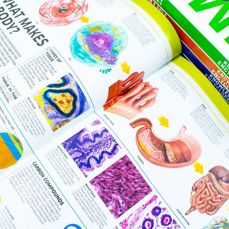 Knowledge Encyclopedias Collection 5 Books Set By DK (Human Body, Science, Space, Animal and Dinosaur)