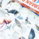 Knowledge Encyclopedias Collection 5 Books Set By DK (Human Body, Science, Space, Animal and Dinosaur)