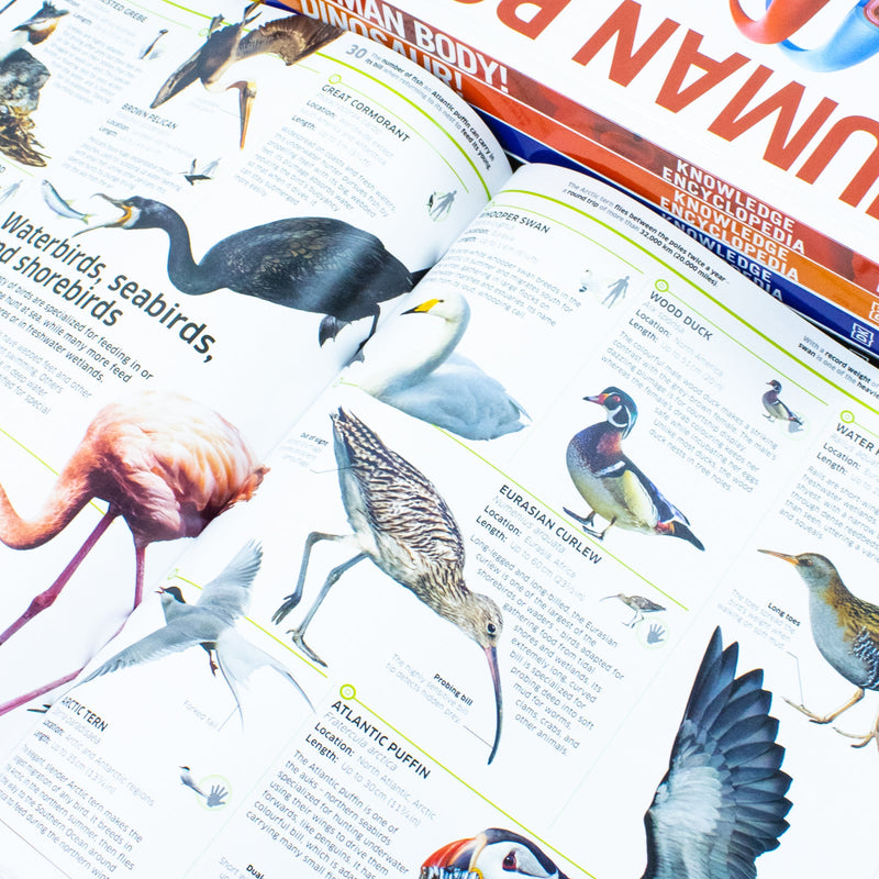 Knowledge Encyclopedias Collection 5 Books Set By DK (Human Body, Science, Space, Animal and Dinosaur)