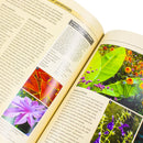 Alan Titchmarsh How to Garden: Perennial Garden Plants
