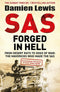 Damien Lewis 5 Books Collection Set (SAS Brothers in Arms, SAS Forged in Hell, SAS Daggers Drawn, SAS Shadow Raiders, SAS Italian Job)