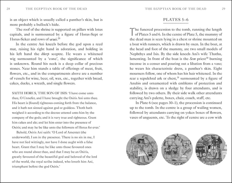 The Egyptian Book of the Dead: Gilded Pocket Edition (Arcturus Ornate Classics, 6)