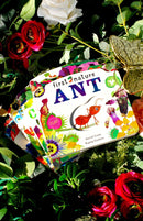 First Nature 4 Books Childrens Collection Set (Ant, Bee, Caterpillar &amp; Ladybird)