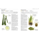 Neal’s Yard Remedies Healing Foods by Susannah Steel – Eat Your Way to a Healthier Life