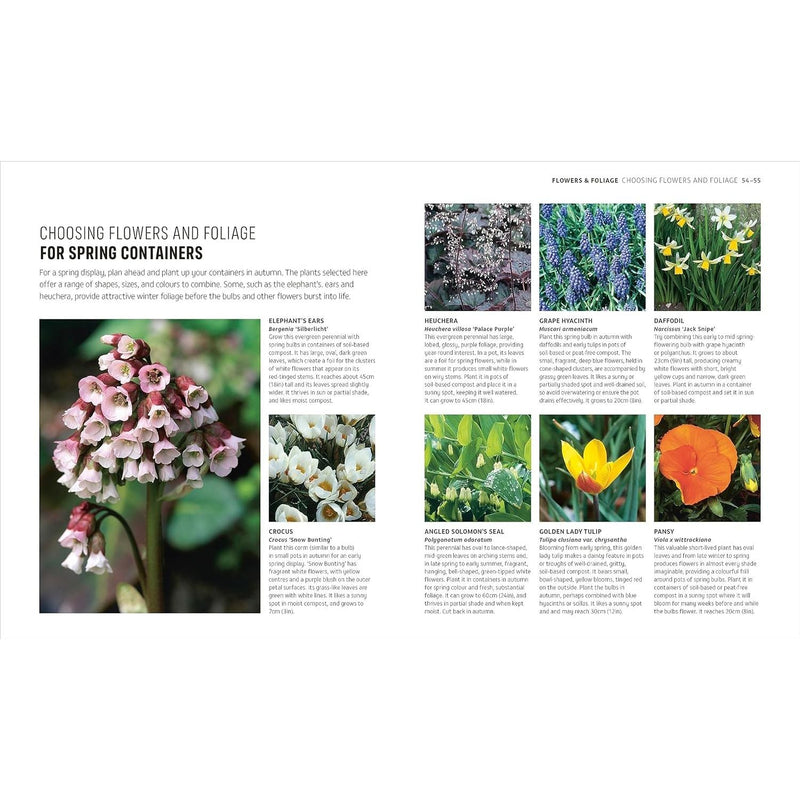 RHS How to Garden When You're New to Gardening: The Basics for Absolute Beginners