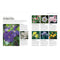 RHS How to Garden When You're New to Gardening: The Basics for Absolute Beginners
