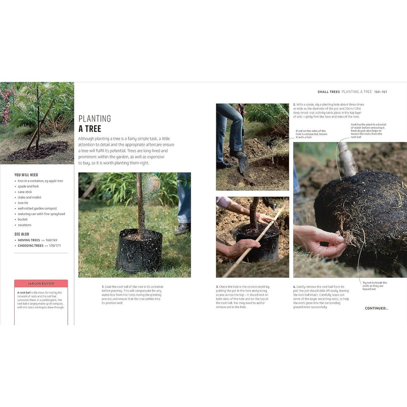RHS How to Garden When You're New to Gardening: The Basics for Absolute Beginners