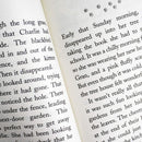 Holly Webb - Series 1 - Puppy and Kitten 10 Books Collection Set (Animal Stories - Pet Rescue Adventures - Books 1 to 10)