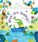 Usborne Lift-The-Flap First Questions and Answers 4 Books Set (Where Do Babies Come From?, What are Feelings?, Why do we need Bees?, Why do things Die?)