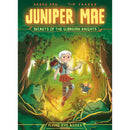 Sarah Soh Juniper Mae Series 2 Books Collection Set (Secrets of the Guardian Knights, Knight of Tykotech City)
