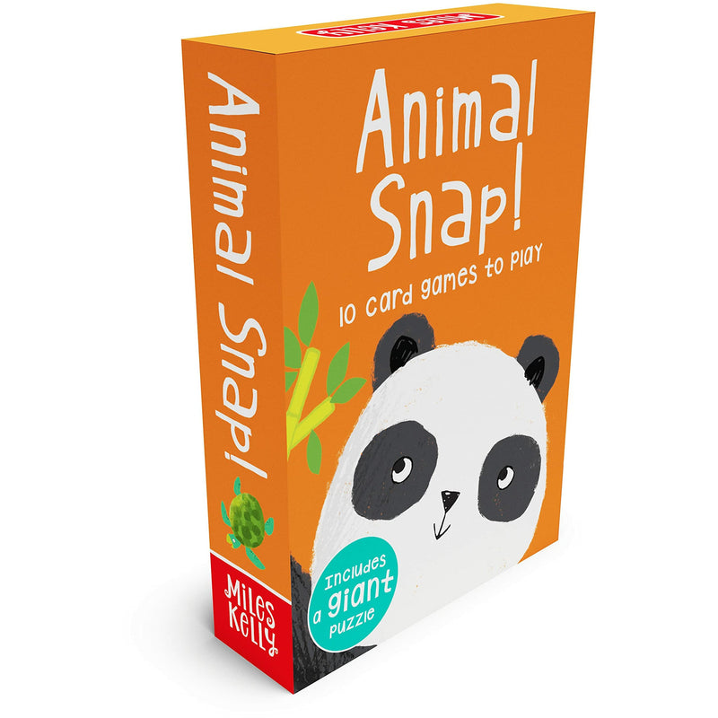 Snap Get Set Go: Animal, Dinosaur, On the Go & Sea Flashcards Set