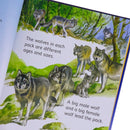 Usborne Beginners Animals Collection 10 Books Box Set (Bears, Dangerous Animals, Elephants, Farm Animals, Monkeys, Pandas, Penguins, Sharks, Tigers & Wolves) - HARDCOVER